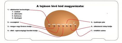 tojaskod.jpg